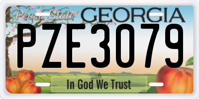 GA license plate PZE3079