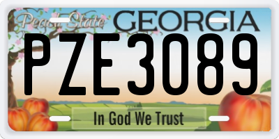 GA license plate PZE3089