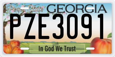 GA license plate PZE3091