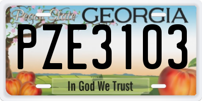 GA license plate PZE3103