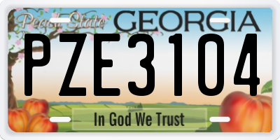 GA license plate PZE3104