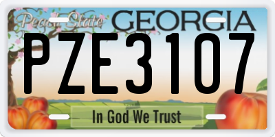 GA license plate PZE3107