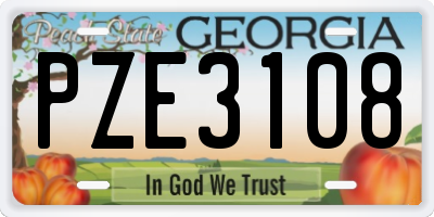 GA license plate PZE3108