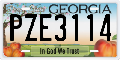 GA license plate PZE3114