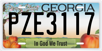 GA license plate PZE3117