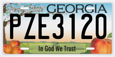 GA license plate PZE3120