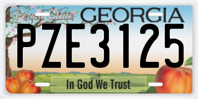 GA license plate PZE3125
