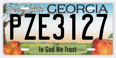 GA license plate PZE3127