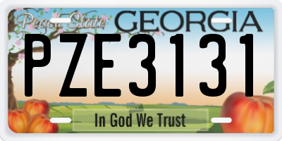 GA license plate PZE3131