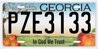 GA license plate PZE3133