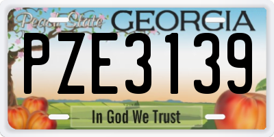 GA license plate PZE3139