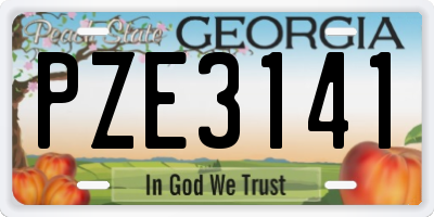 GA license plate PZE3141