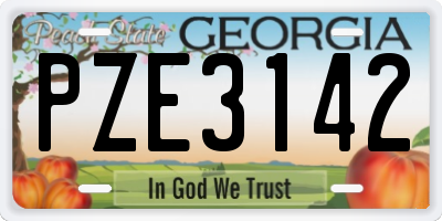 GA license plate PZE3142
