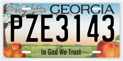 GA license plate PZE3143