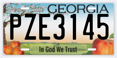 GA license plate PZE3145