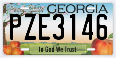 GA license plate PZE3146