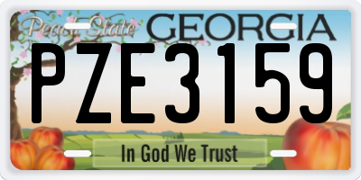 GA license plate PZE3159