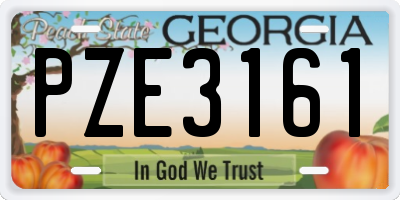GA license plate PZE3161