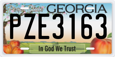 GA license plate PZE3163