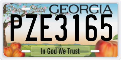 GA license plate PZE3165