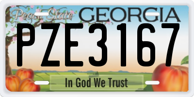 GA license plate PZE3167