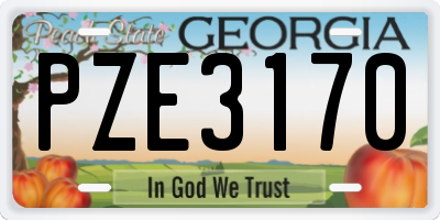 GA license plate PZE3170