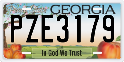 GA license plate PZE3179
