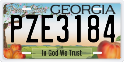 GA license plate PZE3184