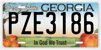 GA license plate PZE3186
