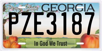 GA license plate PZE3187
