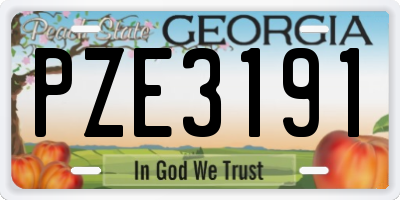 GA license plate PZE3191