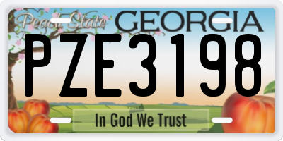GA license plate PZE3198