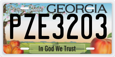 GA license plate PZE3203