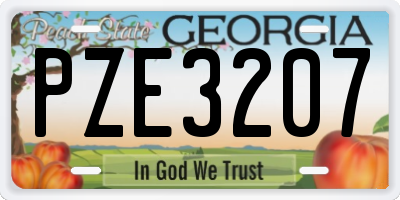 GA license plate PZE3207