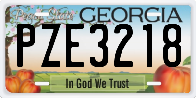 GA license plate PZE3218