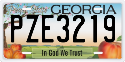 GA license plate PZE3219