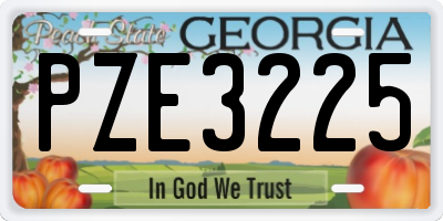 GA license plate PZE3225