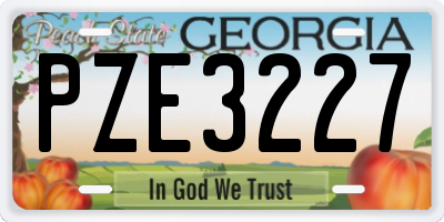 GA license plate PZE3227