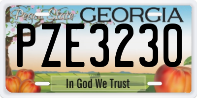 GA license plate PZE3230