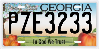 GA license plate PZE3233