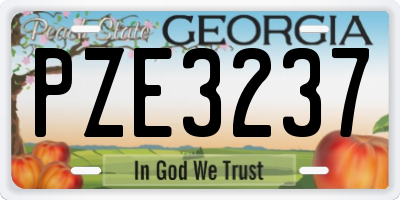 GA license plate PZE3237