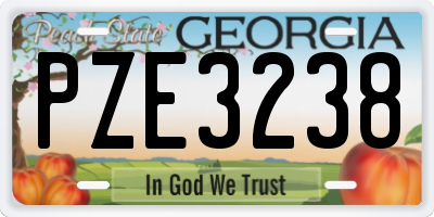 GA license plate PZE3238
