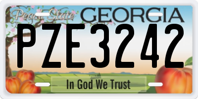 GA license plate PZE3242