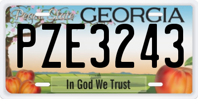 GA license plate PZE3243