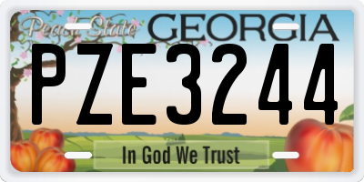 GA license plate PZE3244