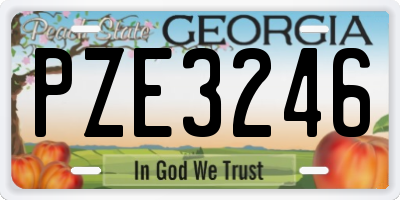 GA license plate PZE3246