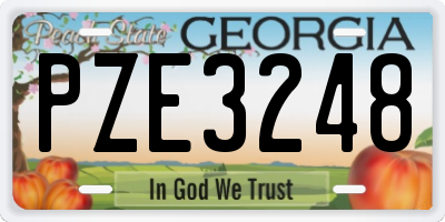 GA license plate PZE3248