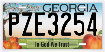 GA license plate PZE3254