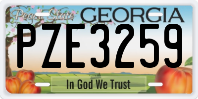 GA license plate PZE3259