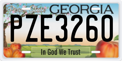 GA license plate PZE3260